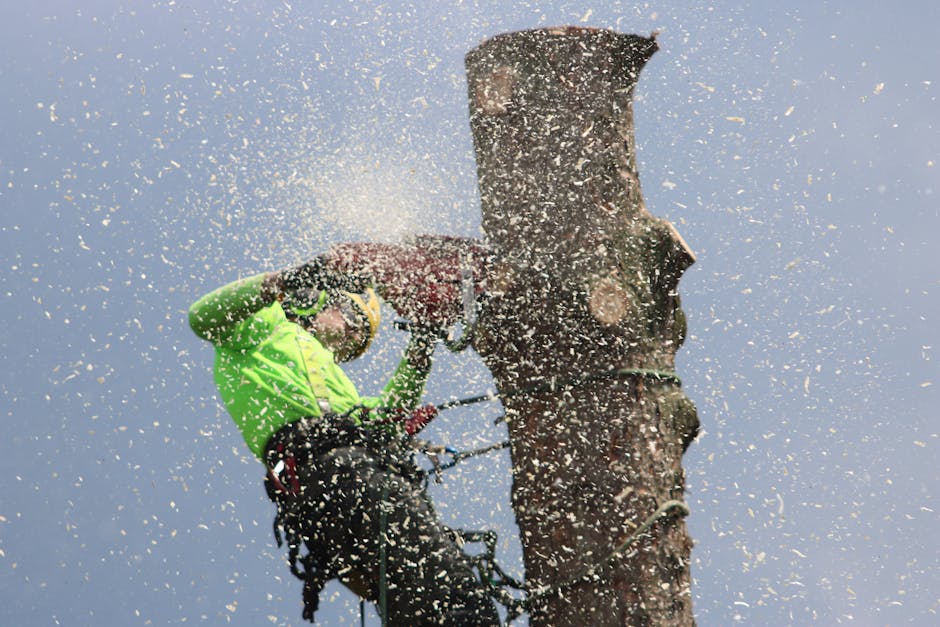 Arborist in safety gear cutting through a large tree trunk with sawdust flying
