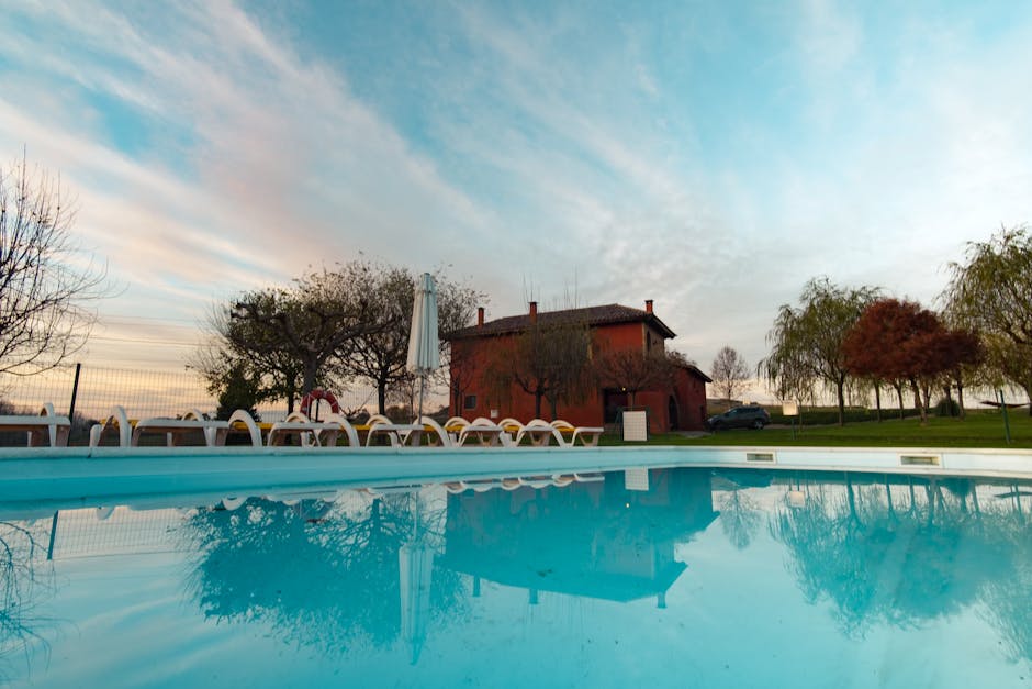 Backyard swimming pool surrounded by trees