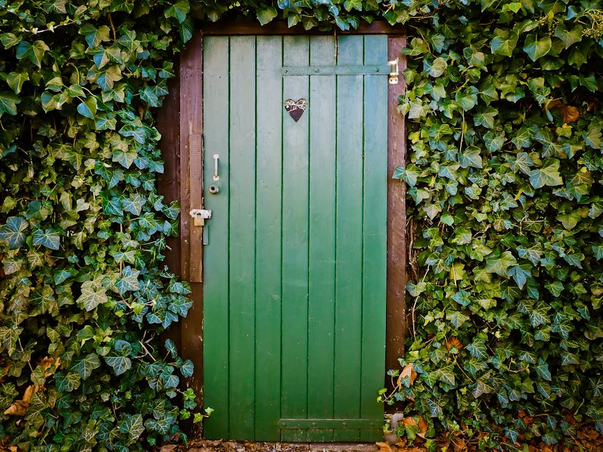 Hedge plants framing a doorway entrance