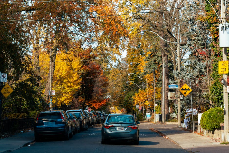 Vibrant fall colors lining a residential street with red and orange trees