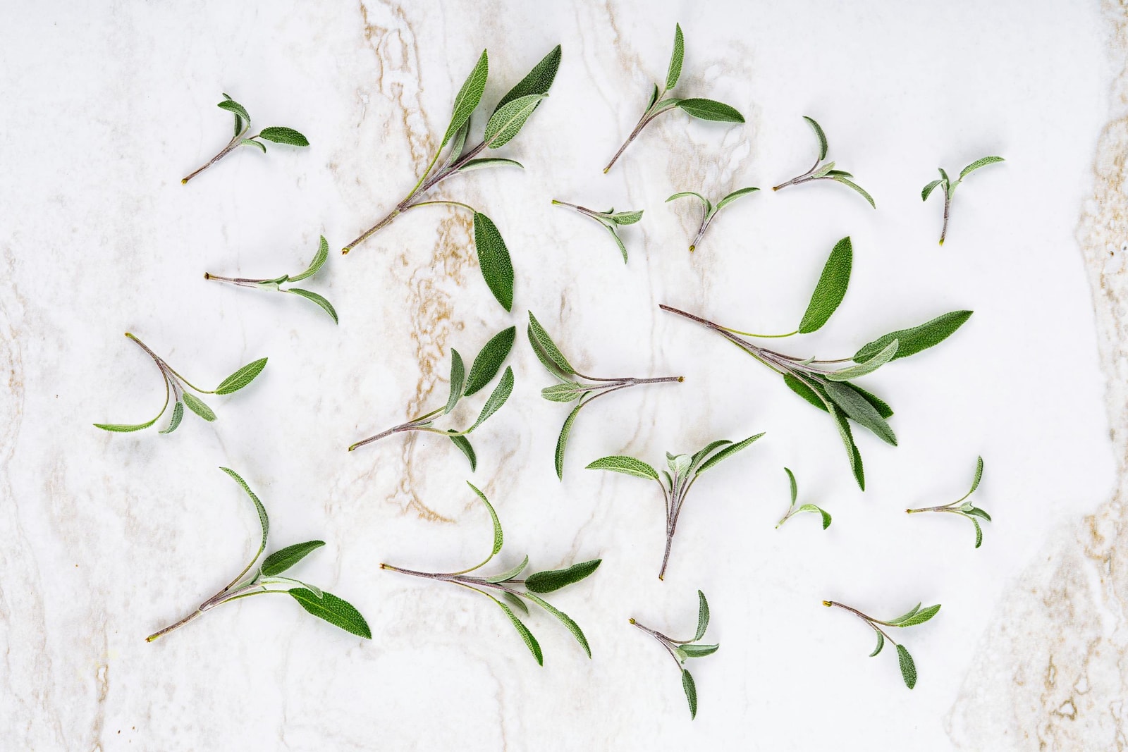 Sage smudge bundle showing traditional drying method