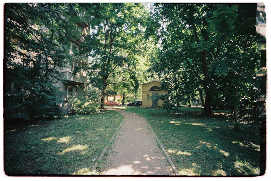 Sunny walkway through a lush green residential neighborhood lined with trees