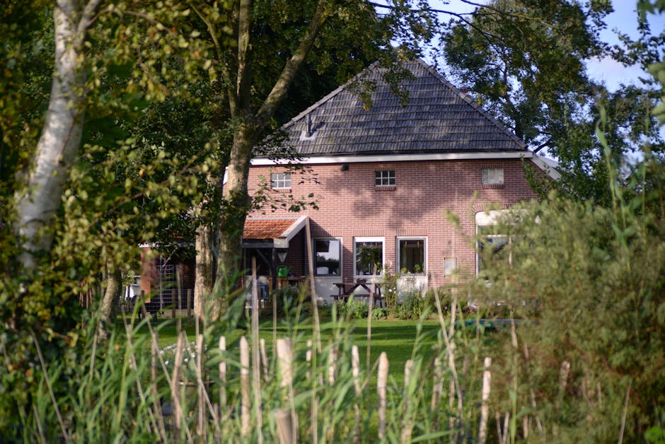 A house surrounded by mature shade trees with lush green canopies