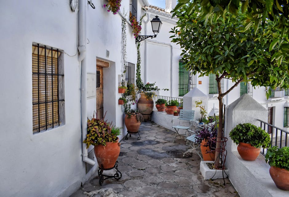 Decorative potted plants and trees arranged on a sunny patio