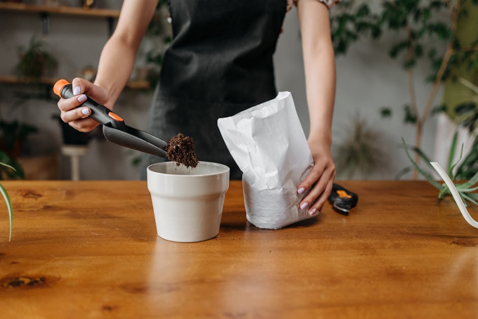 Hands potting a plant in fresh soil mix for container growing