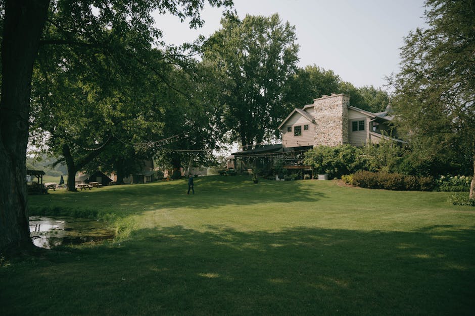 A residential home surrounded by mature deciduous trees providing full canopy shade over a green lawn