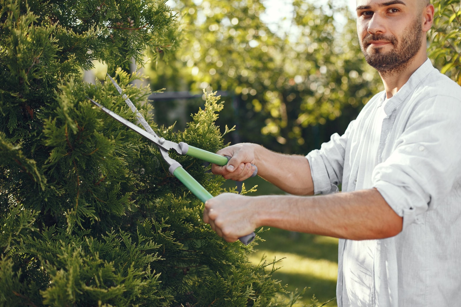 Gardener pruning tree branches with bypass hand pruners