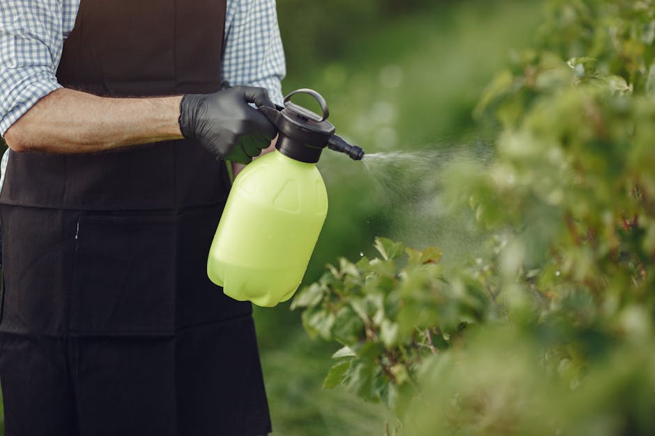 Gardener using a manual sprayer on outdoor plants for pest control