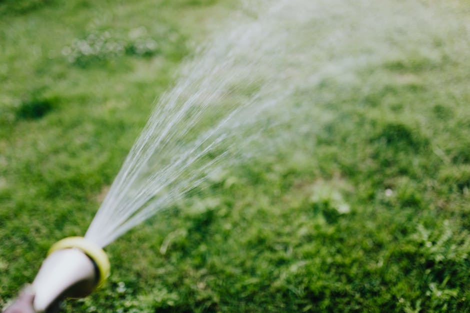 Garden hose spraying water on a lawn