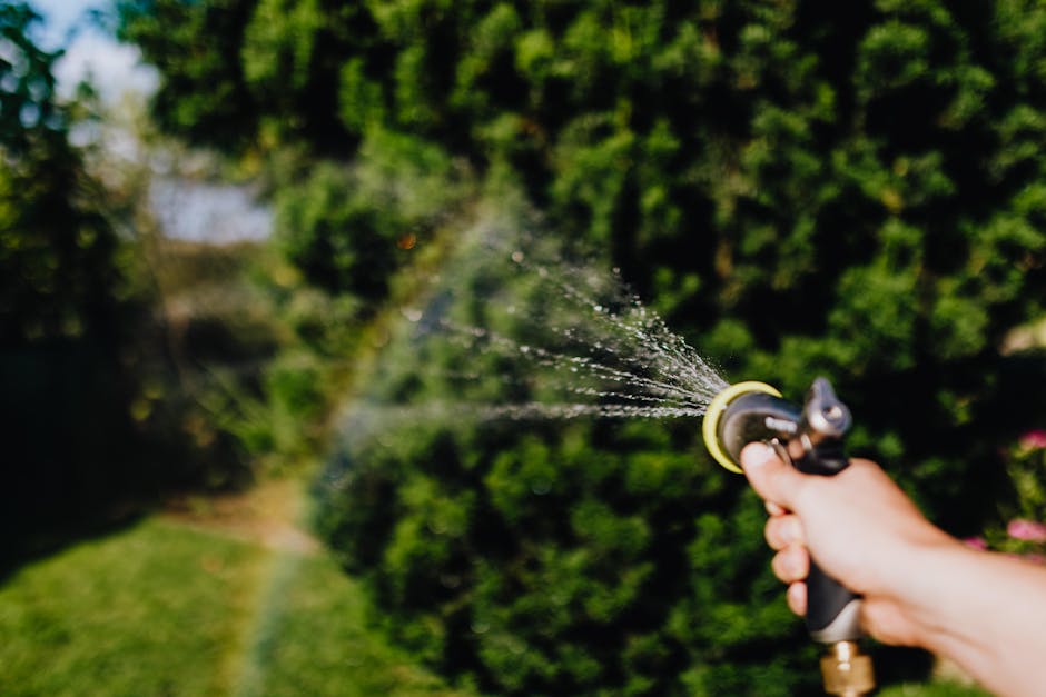 Hand holding a garden hose with sprinkler attachment watering plants in a lush green garden