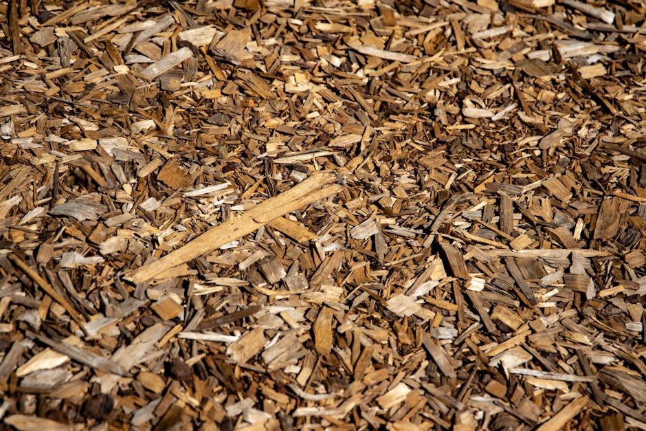 Natural brown bark mulch spread on garden ground in sunlight