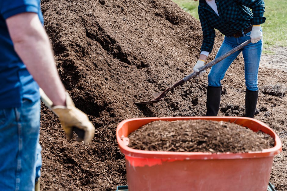 Two people shoveling soil into a wheelbarrow during a garden cleanup project