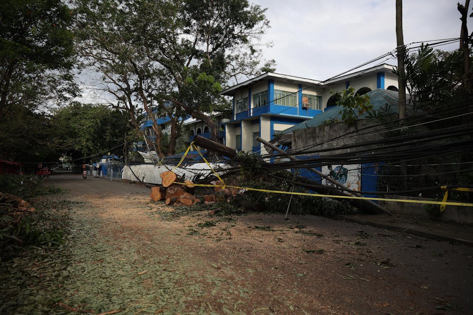 Fallen tree and downed power lines blocking a suburban street after a storm