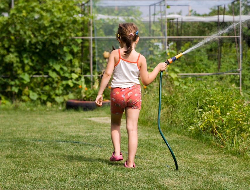 Garden hose watering plants in a sunny outdoor setting