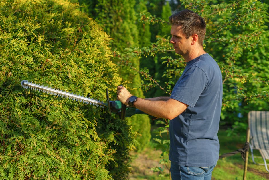 Man trimming a green hedge with an electric hedge trimmer in a sunny residential garden