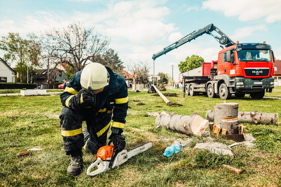 Arborist with truck and crane equipment preparing for a tree trimming job