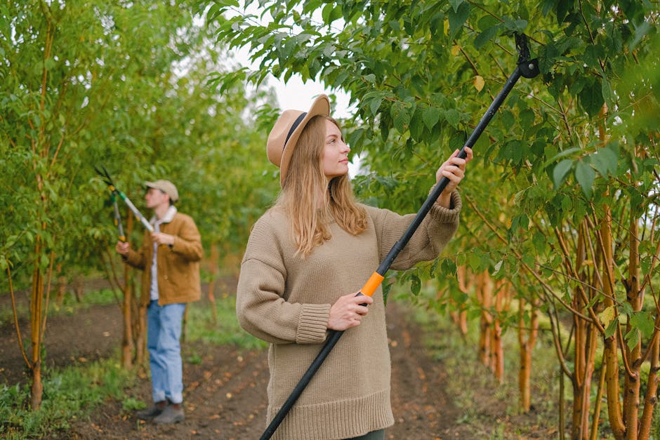 Woman using a pole pruner to trim branches in a garden