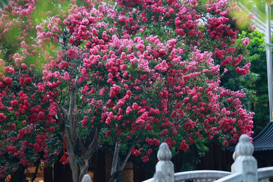 Smooth, mottled crape myrtle trunk and multi-stem branches, the bark where scale forms its white crust