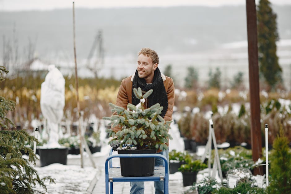 Shopper at a plant nursery browsing potted trees in winter